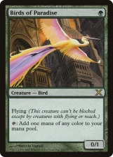 Birds of Paradise card image