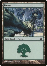 Forest card image