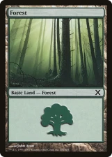 Forest card image