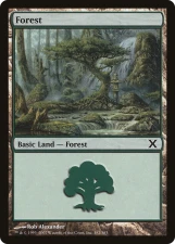 Forest card image