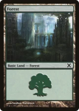 Forest card image