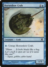 Horseshoe Crab card image