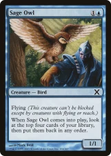 Sage Owl card image