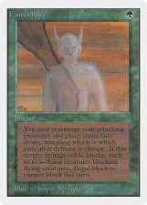 Camouflage card image