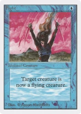 Flight card image