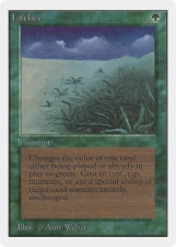 Lifelace card image
