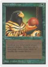 Natural Selection card image