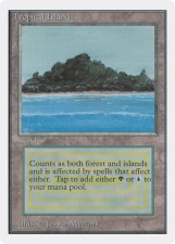 Tropical Island card image