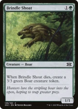 Brindle Shoat card image