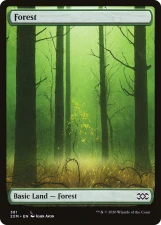 Forest card image