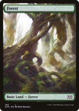 Forest card image