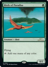 Birds of Paradise card image