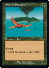 Birds of Paradise card image