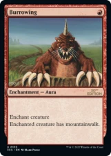 Burrowing card image