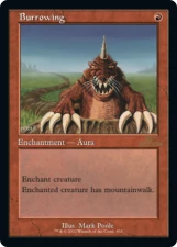 Burrowing card image