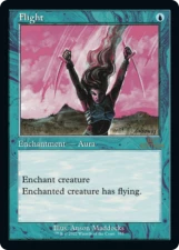 Flight card image