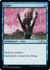 Flight card image