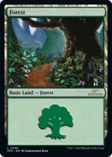 Forest card image