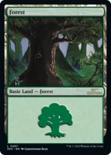 Forest card image