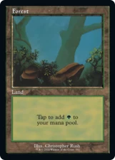 Forest card image