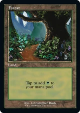 Forest card image