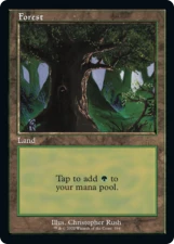Forest card image
