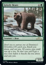 Grizzly Bears card image