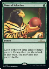 Natural Selection card image