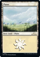 Plains card image