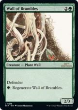 Wall of Brambles card image