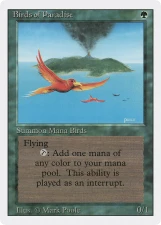 Birds of Paradise card image