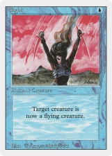 Flight card image