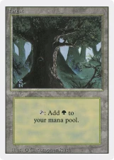 Forest card image