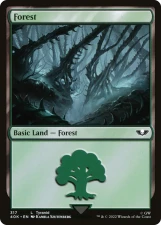 Forest card image
