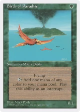 Birds of Paradise card image