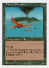 Birds of Paradise card image