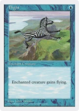 Flight card image
