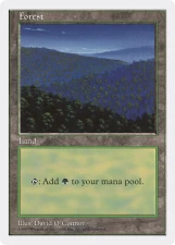 Forest card image