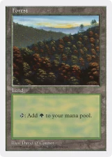 Forest card image