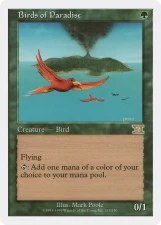 Birds of Paradise card image