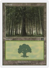 Forest card image