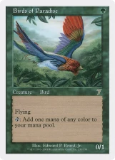 Birds of Paradise card image