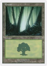 Forest card image