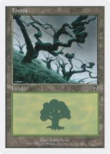 Forest card image