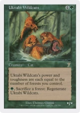 Uktabi Wildcats card image