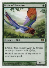 Birds of Paradise card image