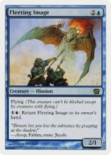 Fleeting Image card image