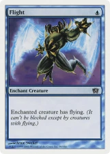 Flight card image