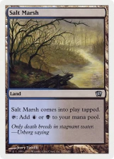 Salt Marsh card image