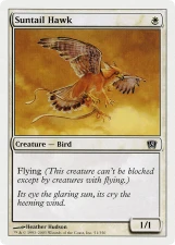 Suntail Hawk card image